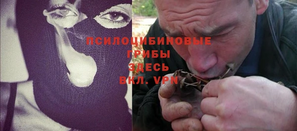 spice Няндома