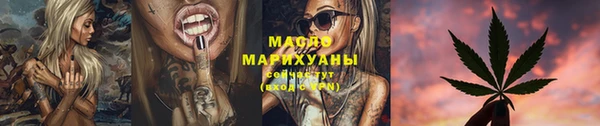 хмурый Осинники