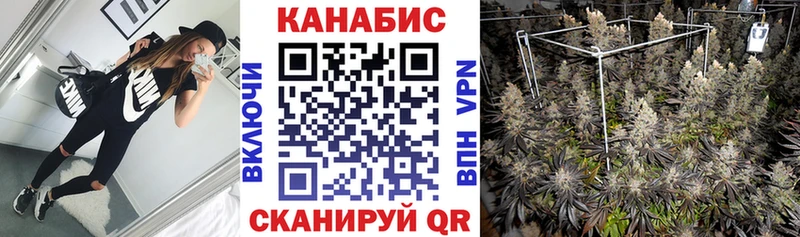 купить   Куса  Конопля индика 
